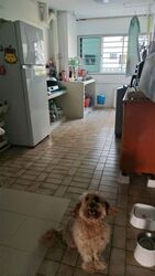 Blk 433 Tampines Street 43 (Tampines), HDB 4 Rooms #543585981